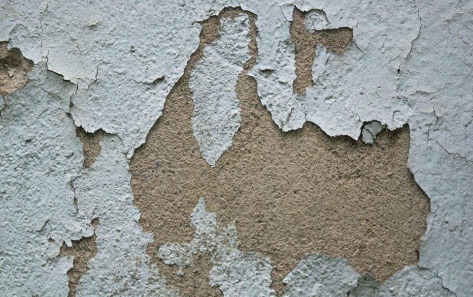 a close-up of a rock